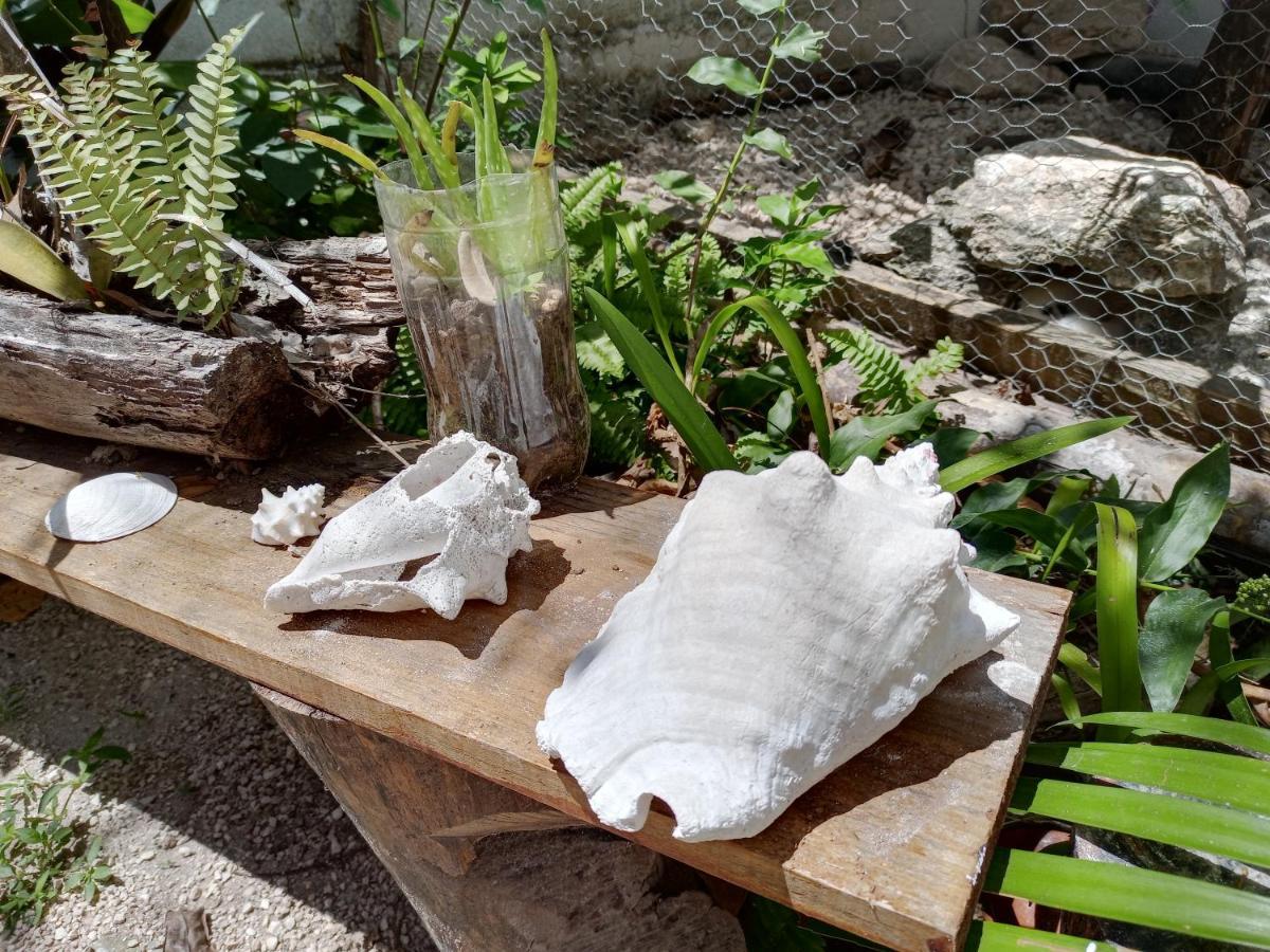 Ferienwohnung Mi Cuartito En Bacalar Exterior foto